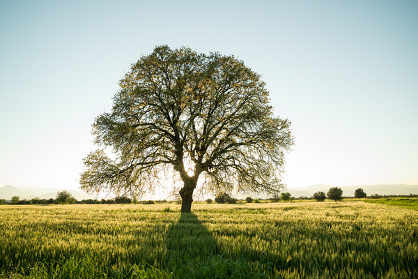 Natur & Land bewirtschaften